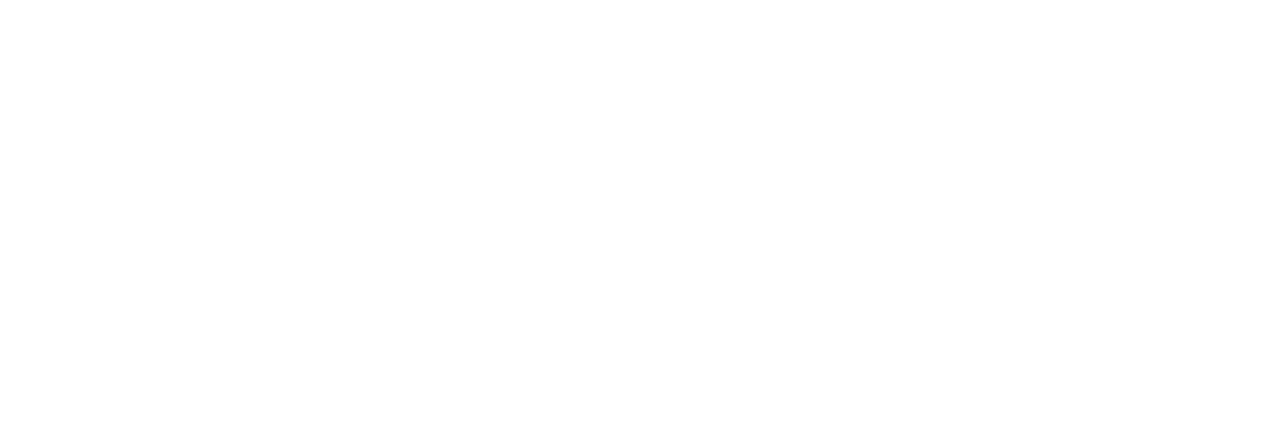 Tire Depot