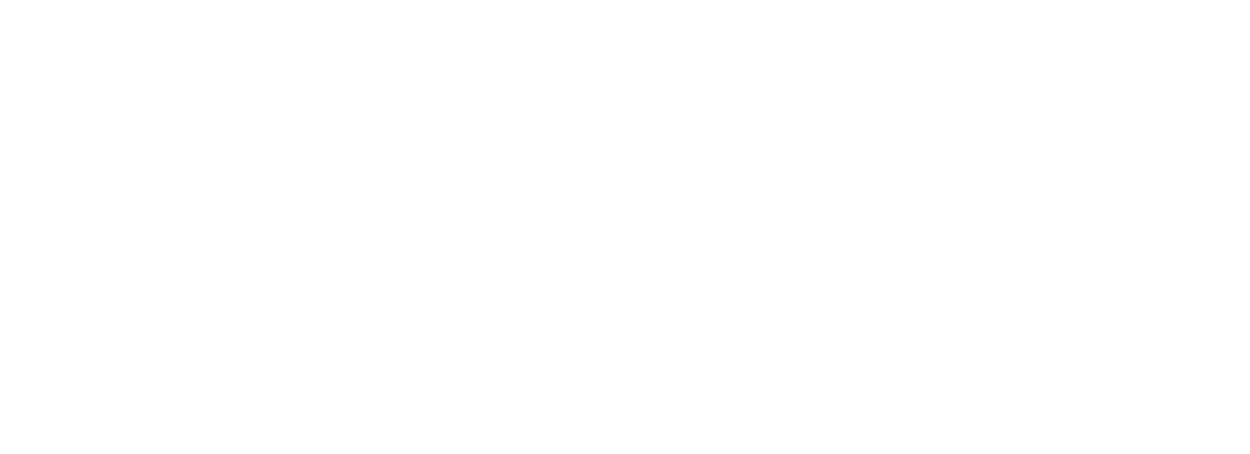 Tire Depot